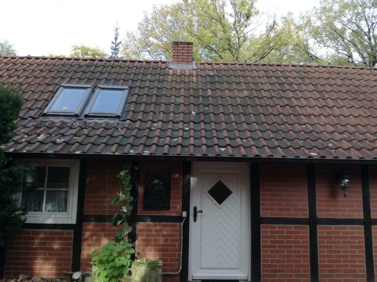 Ferienhaus In Rumke Bippen Exterior foto